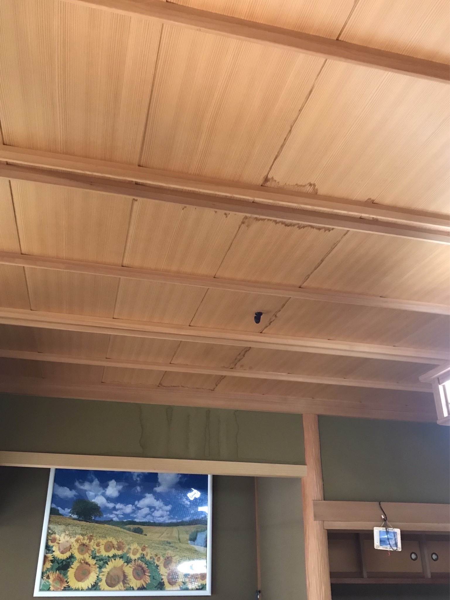 雨漏り室内（天井）１